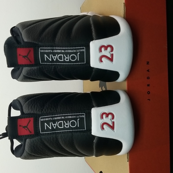 Air Jordan 12 Retro \